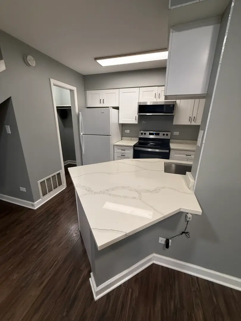 1317 E Wyndham Circle #102, Palatine, IL 60074 - #3