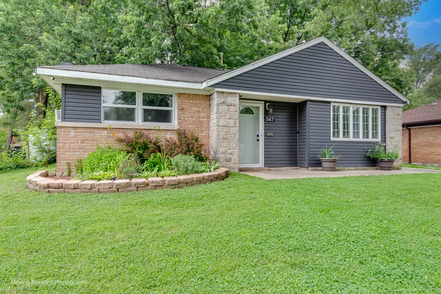 347 Minocqua Street, Park Forest, IL 60466 - #2