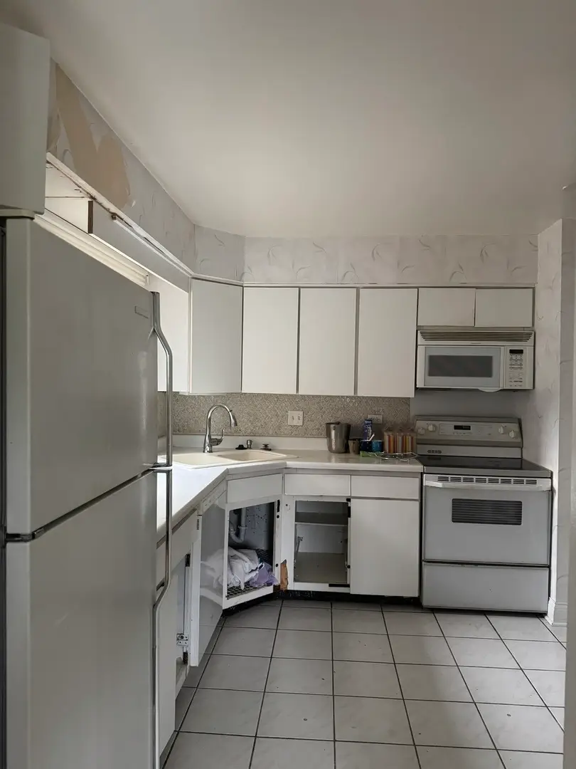 9374 Landings Lane #201, Des Plaines, IL 60016 - #2