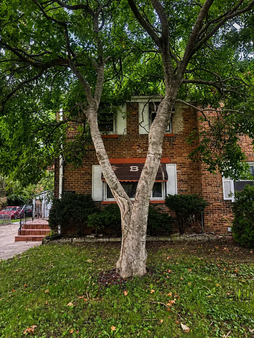 2108 E 95th Place, Chicago, IL 60617 - #1