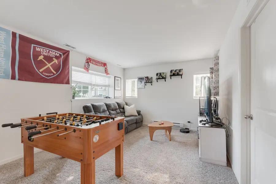 576 Spring Leaf Drive, Joliet, IL 60431 - #3