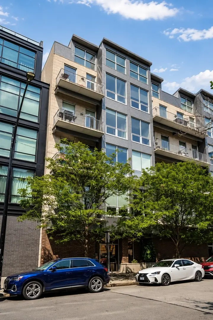 16 N Carpenter Street #4N, Chicago, IL 60607 - #2