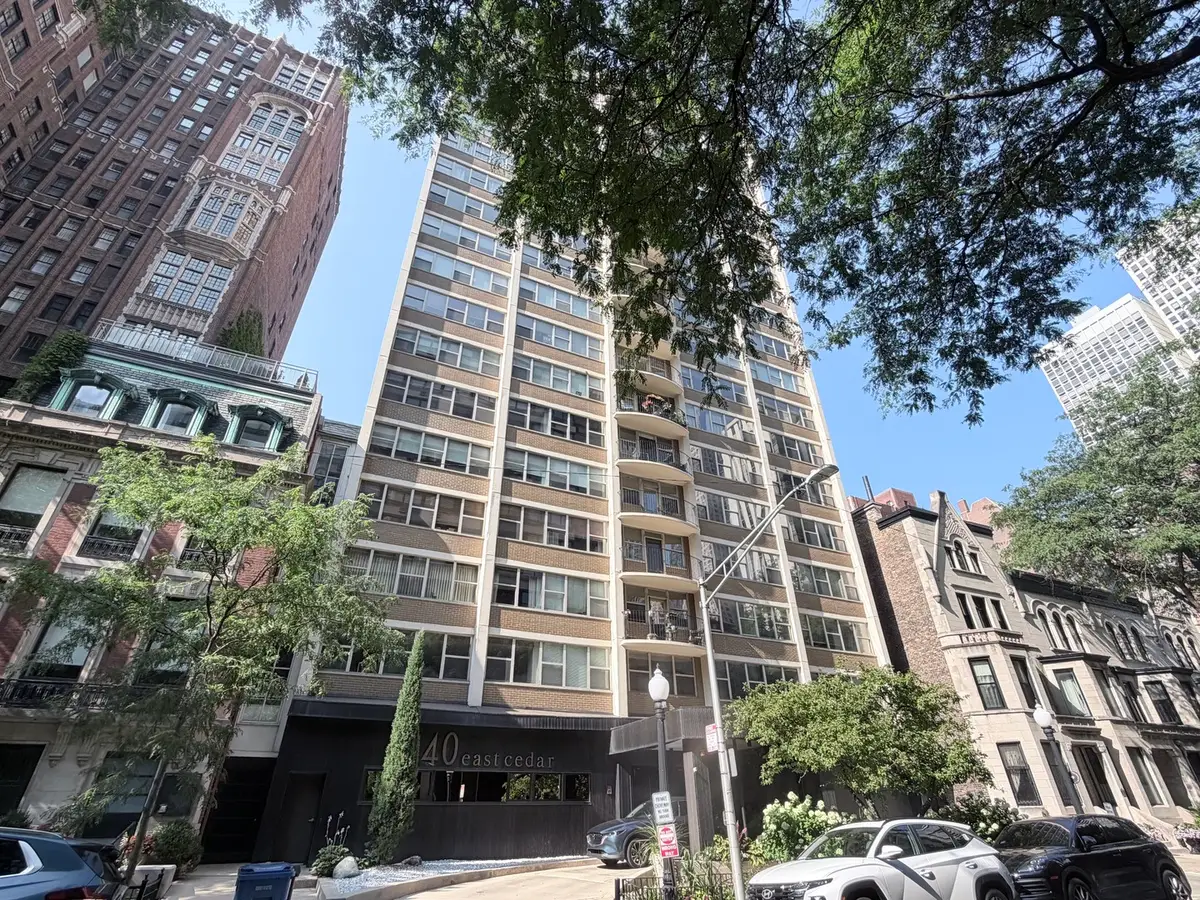 40 E Cedar Street #11C, Chicago, IL 60611 - #1