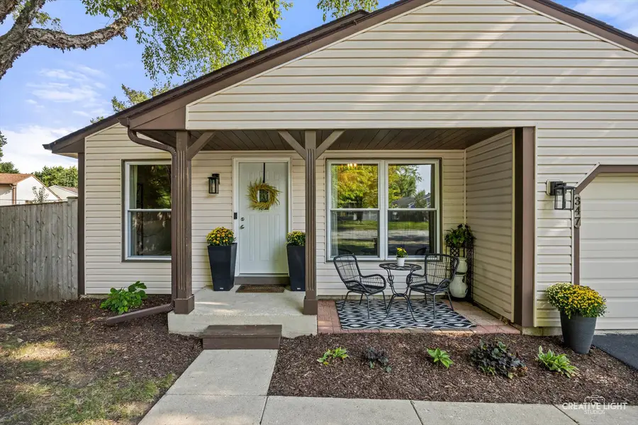 347 Danbury Drive, Naperville, IL 60565 - #2