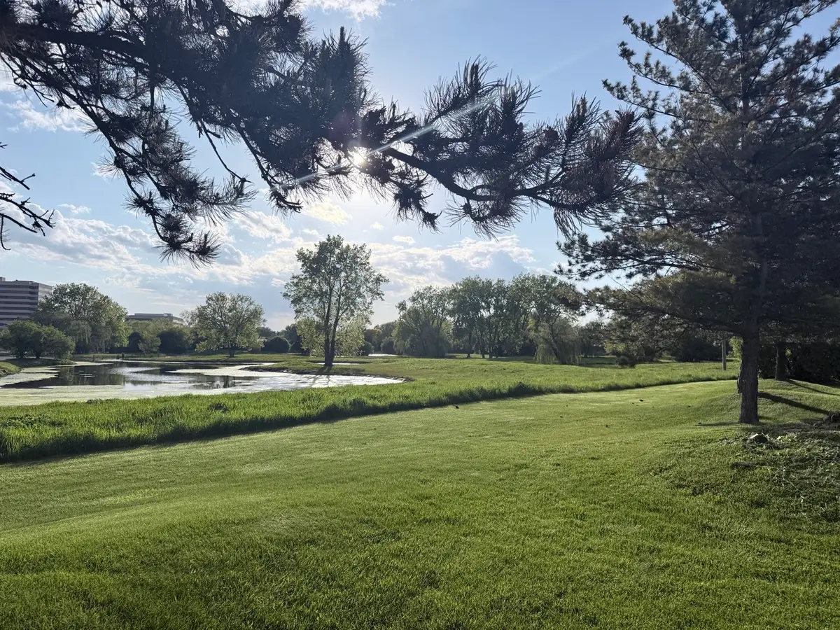 1S476 Renaissance Boulevard, Oak Brook, IL 60523 - #1