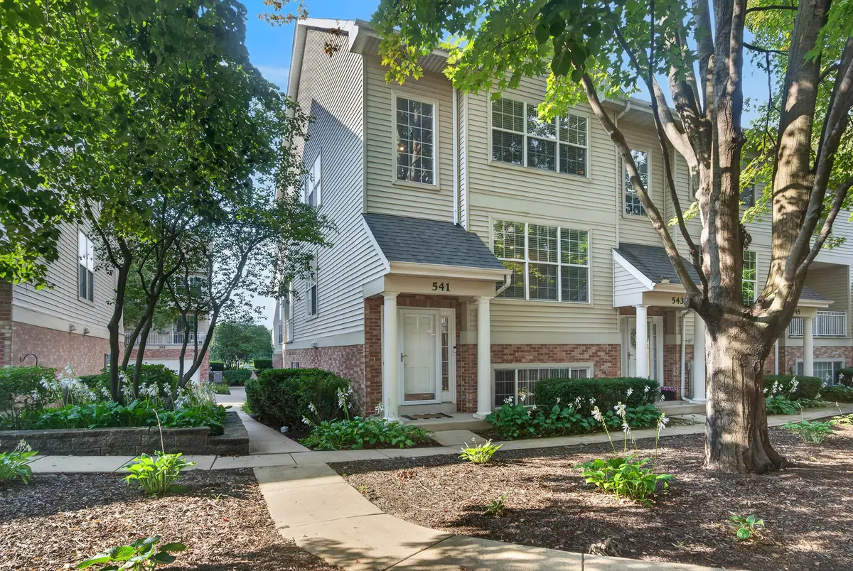 541 Pheasant Trail, Saint Charles, IL 60174 - #1