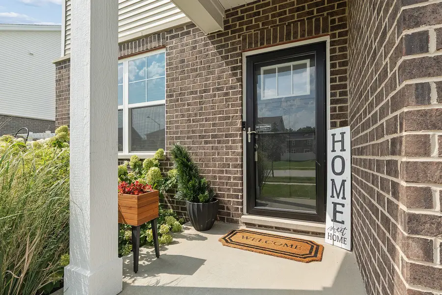 17212 Donegal Street, Tinley Park, IL 60477 - #3