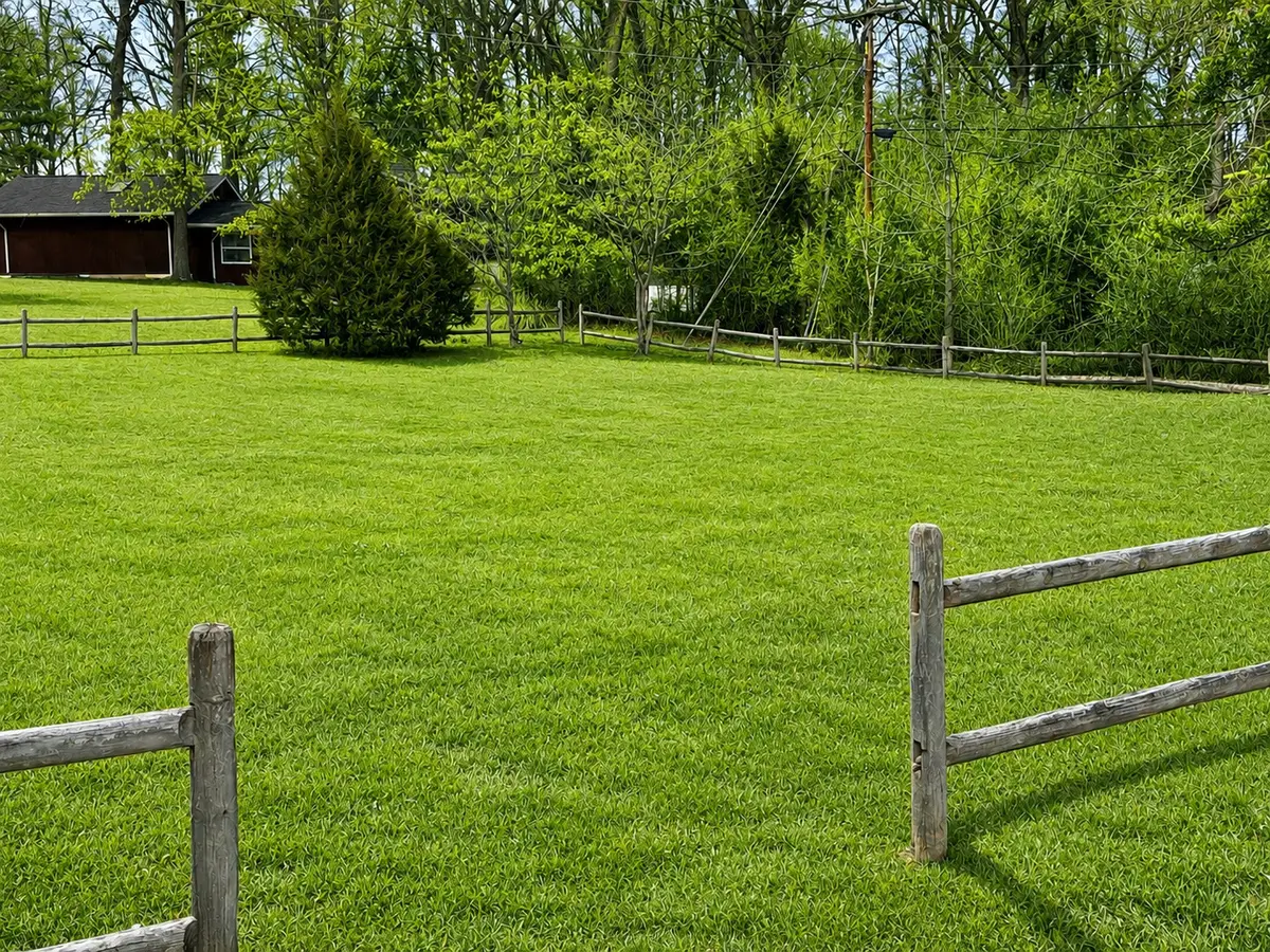 001 Hunter Woods Drive, Carbondale, IL 62901 - #1