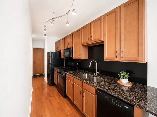210 S Desplaines Street, Chicago, IL 60661 - #3