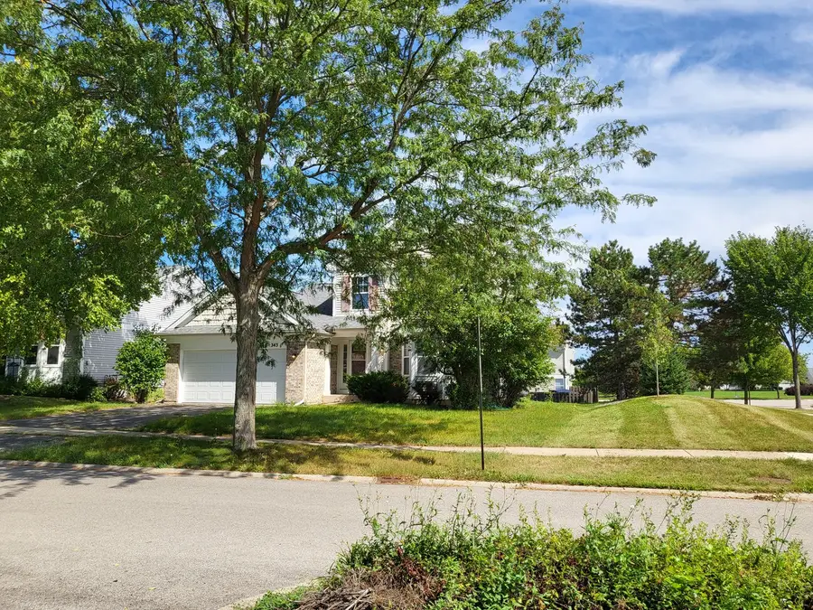 343 Switchgrass Drive, Round Lake, IL 60073 - #2