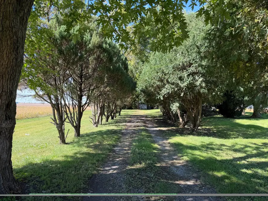 305 N Michigan Street, Ashkum, IL 60911 - #3