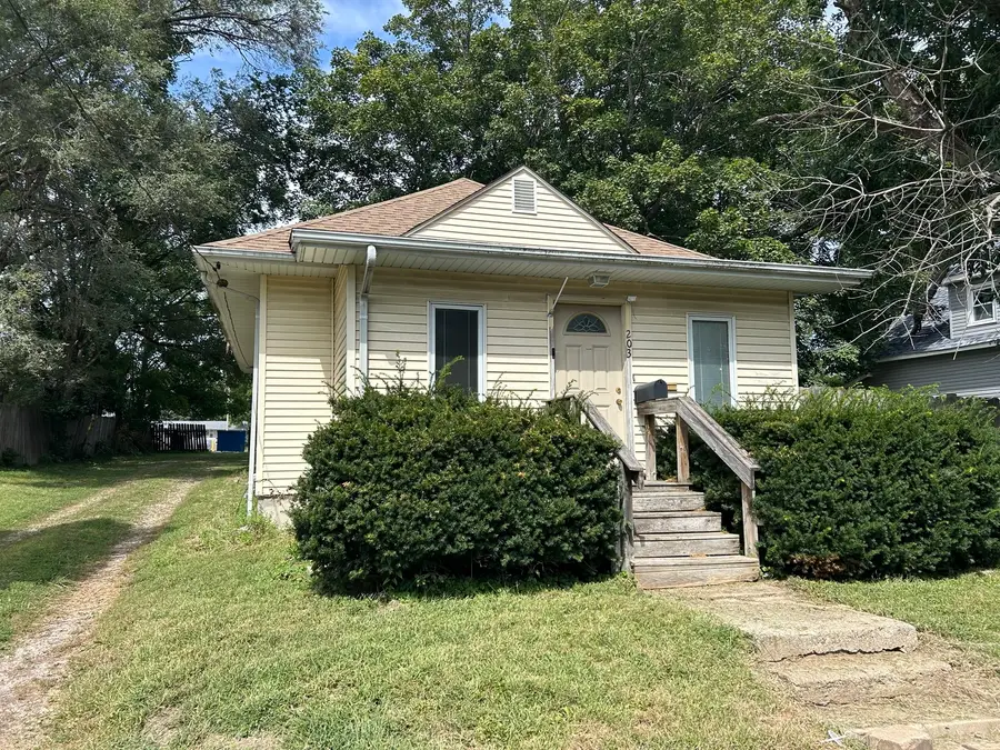 203 Whittier Street, Georgetown, IL 61846 - #2