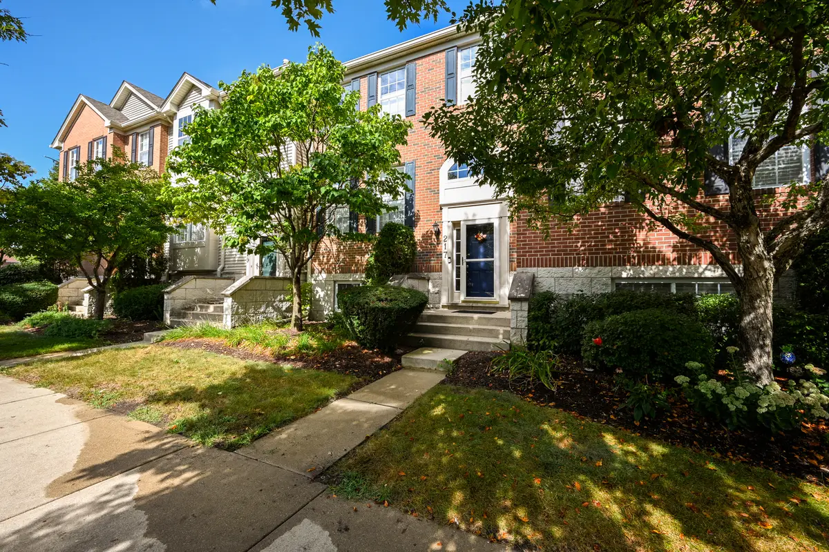 217 Willow Boulevard, Willow Springs, IL 60480 - #1