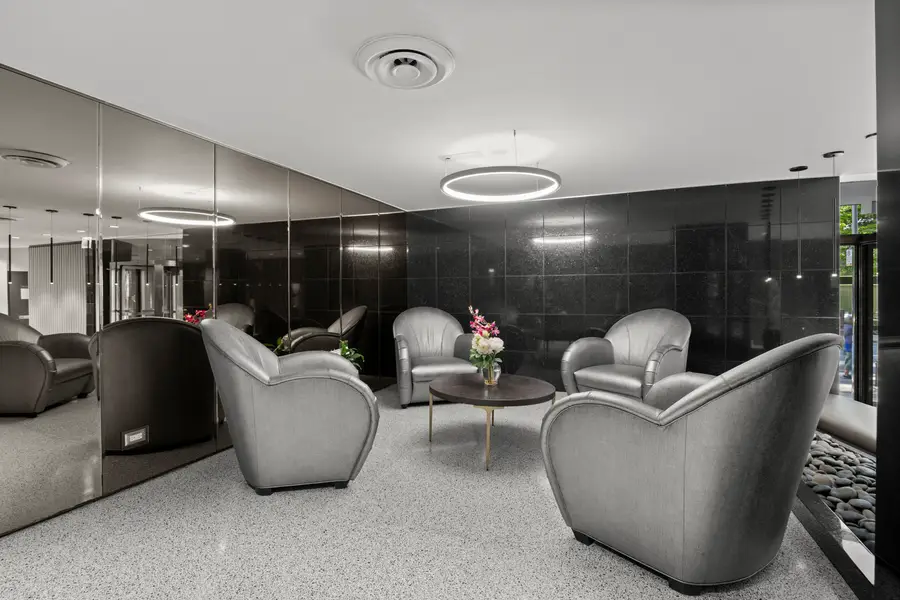 253 E Delaware Place #17D, Chicago, IL 60611 - #2