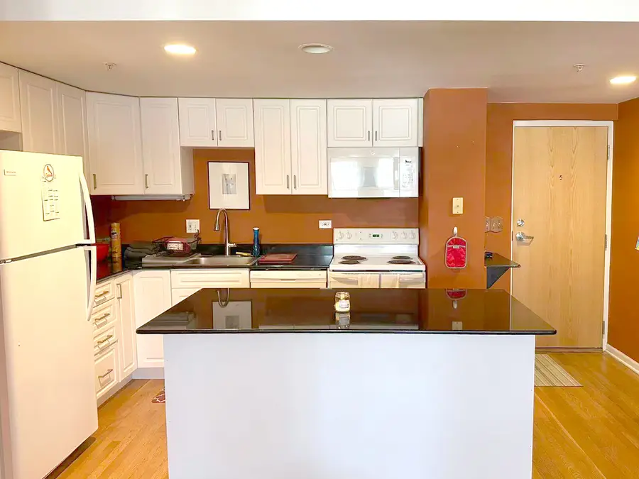 1041 Susan Collins Lane #501, Oak Park, IL 60302 - #3