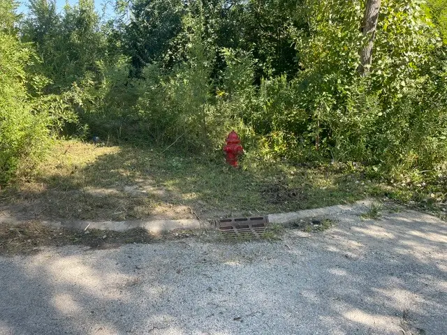 7 lots N Rt 129 & Hole In The Wall Court, Braidwood, IL 60408 - #3