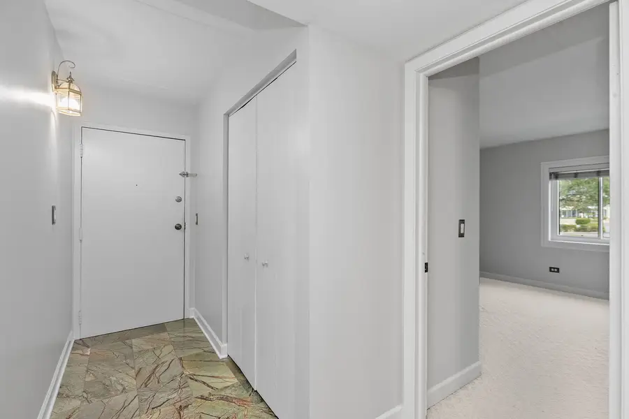111 E Janata Boulevard #2A, Lombard, IL 60148 - #3