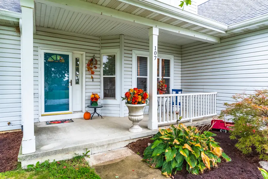 107 N Gadwall Lane, Downs, IL 61736 - #3