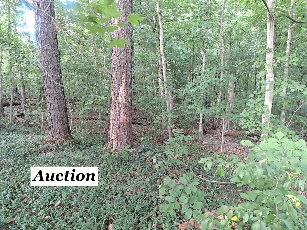 3952 & 4013 Devils Fork Road, Carbondale, IL 62901 - #1
