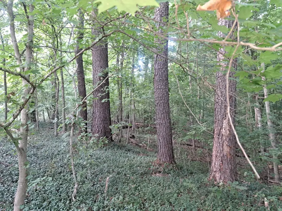 3952 & 4013 Devils Fork Road, Carbondale, IL 62901 - #3