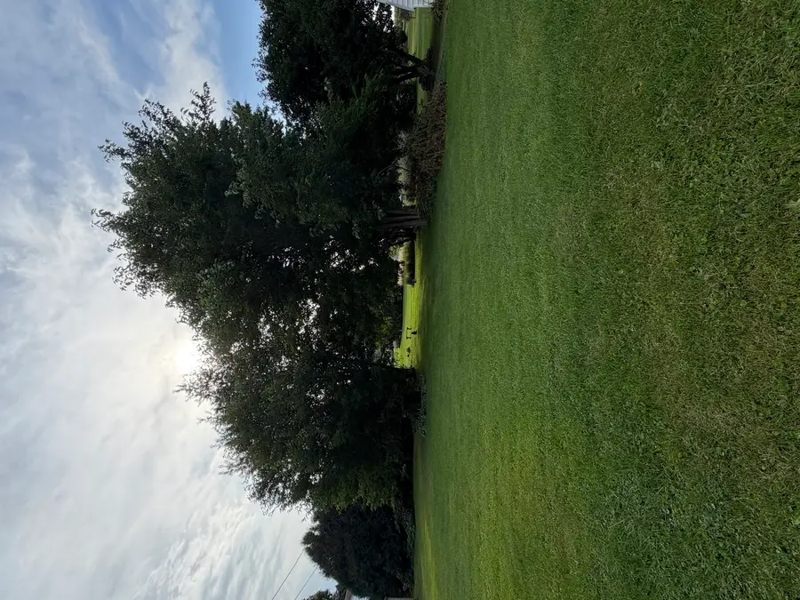 404 Maple Avenue, Forreston, IL 61030 - #2