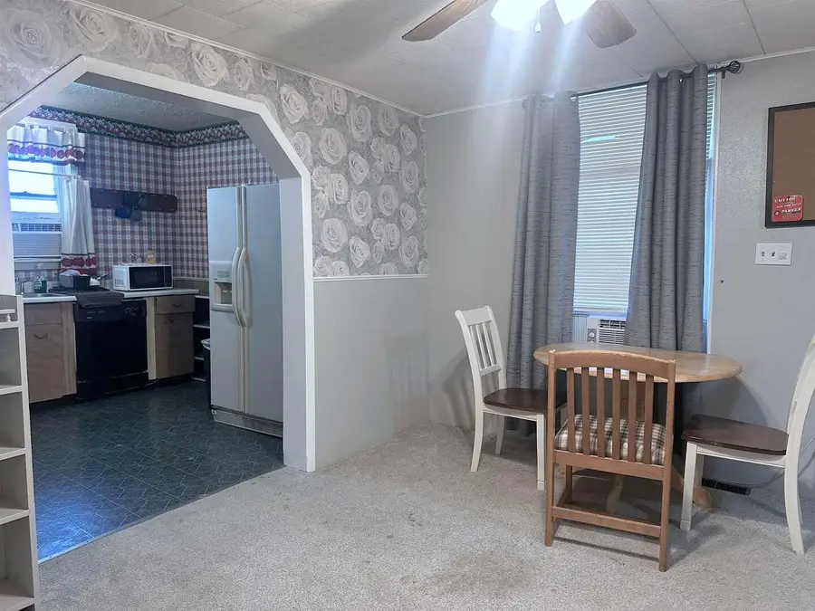 723 N 9th Street, Murphysboro, IL 62966 - #3