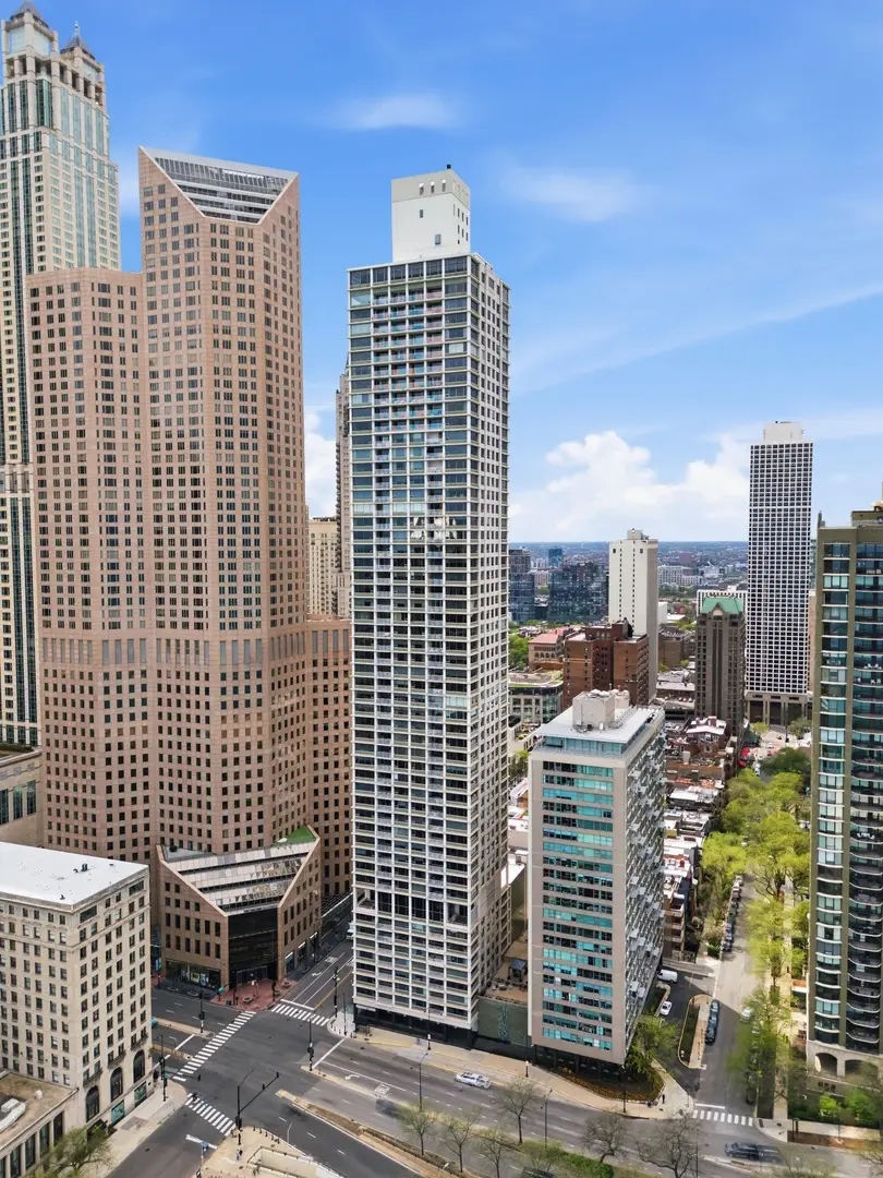 1000 N Lake Shore Plaza #24C, Chicago, IL 60611 - #1