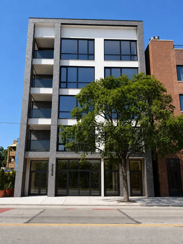 2254 W Chicago Avenue #2S, Chicago, IL 60622