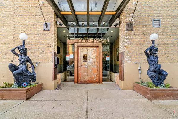 2545 S Dearborn Street #533, Chicago, IL 60616