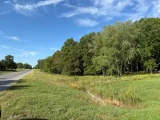 400 S Mayor Caliper Drive, Carterville, IL 62918 - #2
