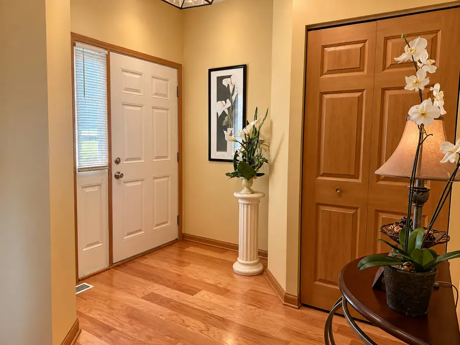 21122 Gray Hawk Drive, Matteson, IL 60443 - #3