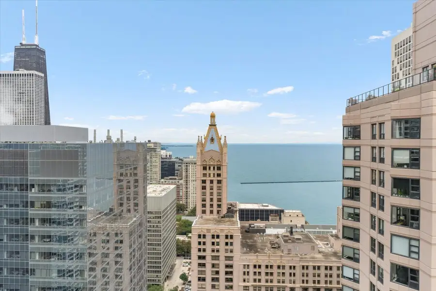 400 E Ohio Street #4402, Chicago, IL 60611 - #2