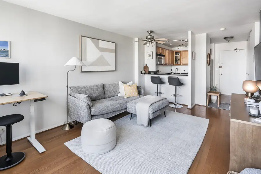 88 W Schiller Street #1003L, Chicago, IL 60610 - #2