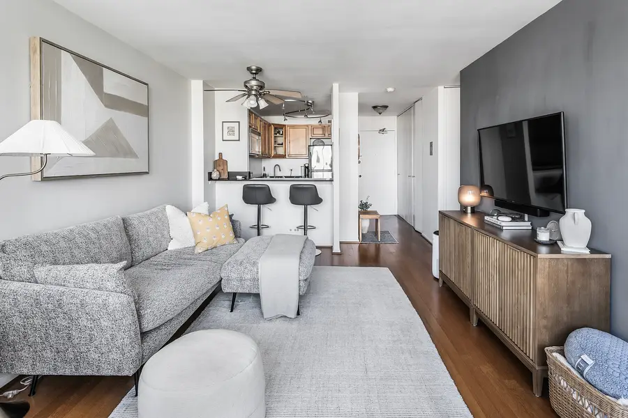 88 W Schiller Street #1003L, Chicago, IL 60610 - #3