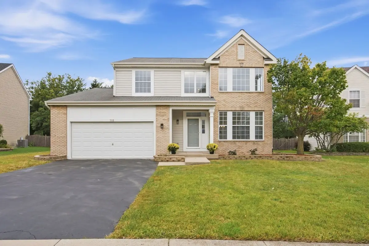 705 Silver Leaf Drive, Joliet, IL 60431 - #1