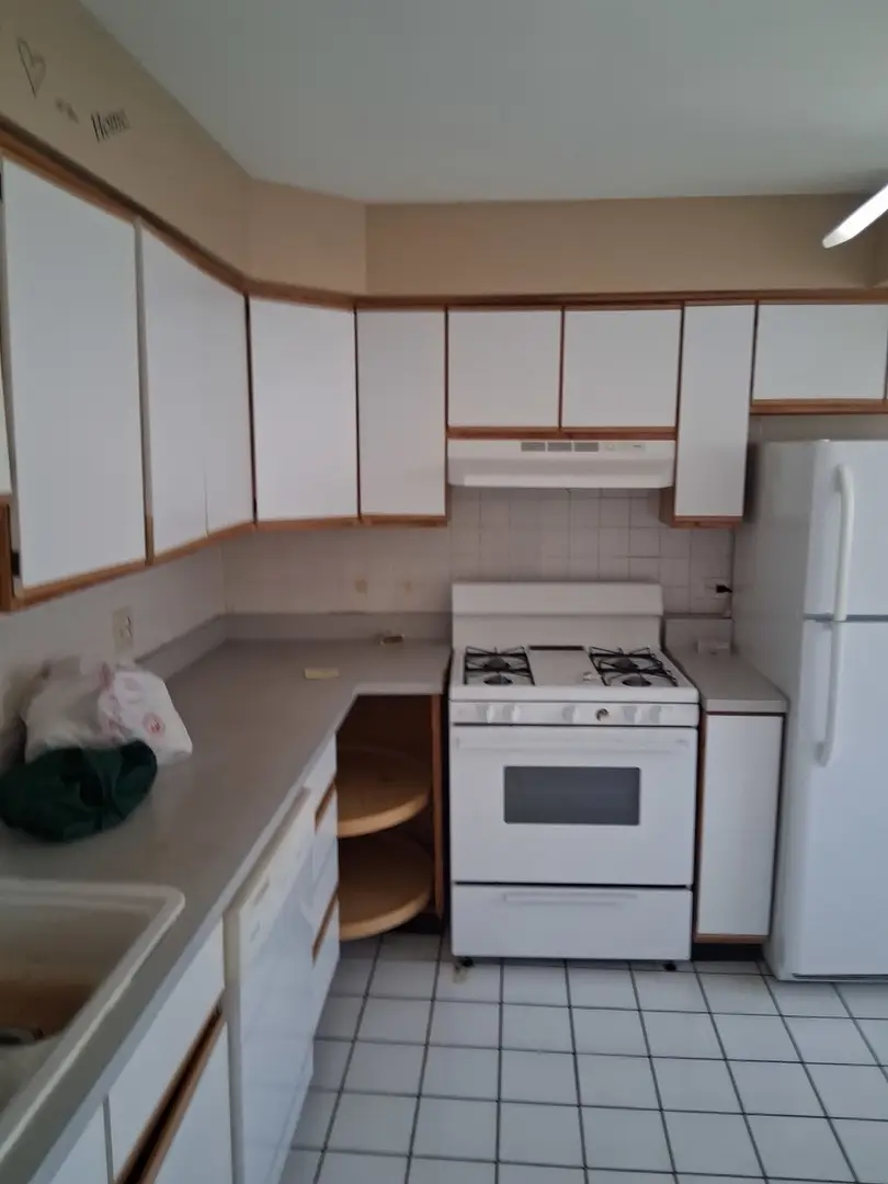 7235 N Hamilton Avenue, Chicago, IL 60645 - #2