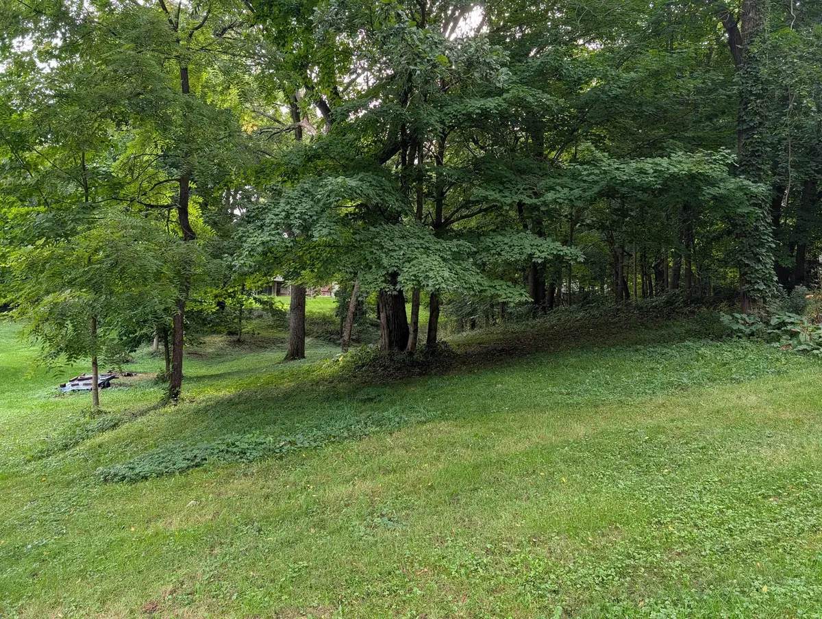 487 Corkhill Court, Davis, IL 61019 - #1