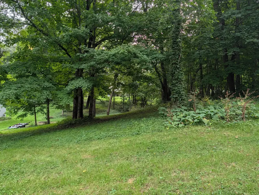 487 Corkhill Court, Davis, IL 61019 - #2