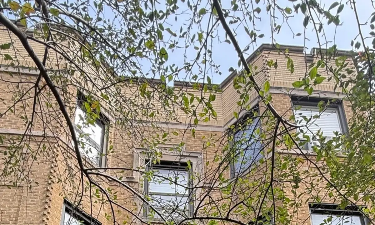 539 W Brompton Avenue #1B, Chicago, IL 60657 - #1