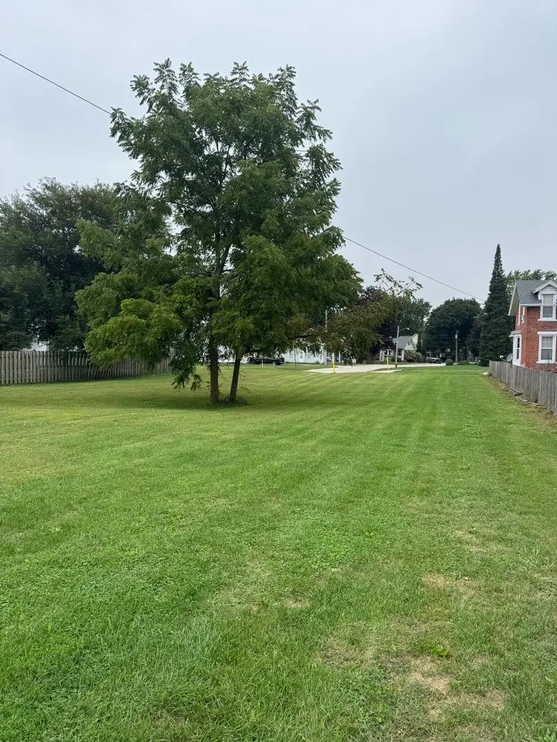 218 N College Avenue, Geneseo, IL 61254 - #3