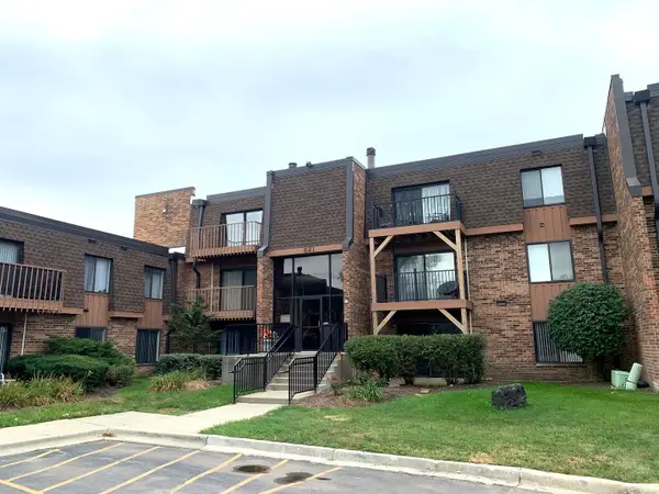 621 Tralee Court #3A, Schaumburg, IL 60193