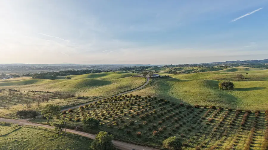 35 Wellsona Road, Paso Robles, CA 93446 - #3