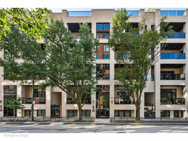 220 S Green Street #4S, Chicago, IL 60607