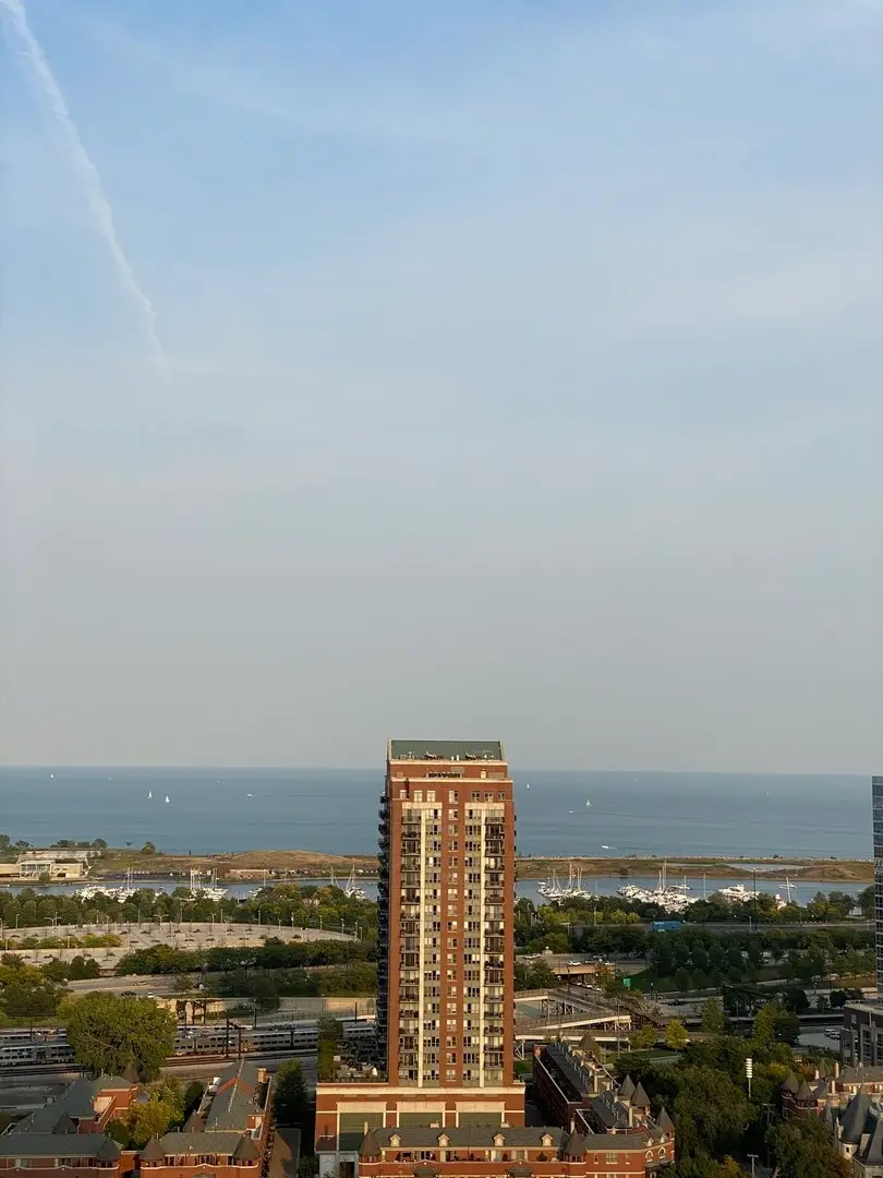 1720 S Michigan Avenue #3105, Chicago, IL 60616 - #3