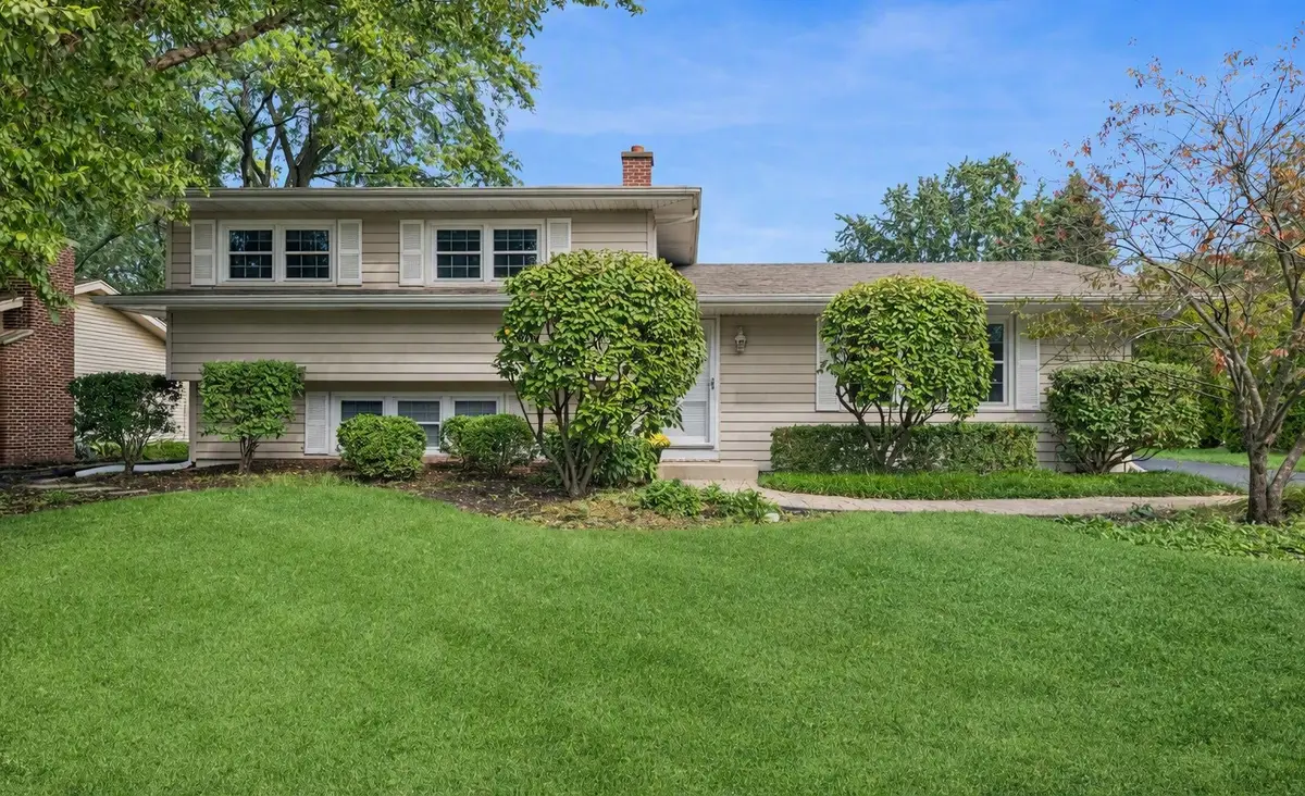 437 Tupelo Avenue, Naperville, IL 60540 - #1