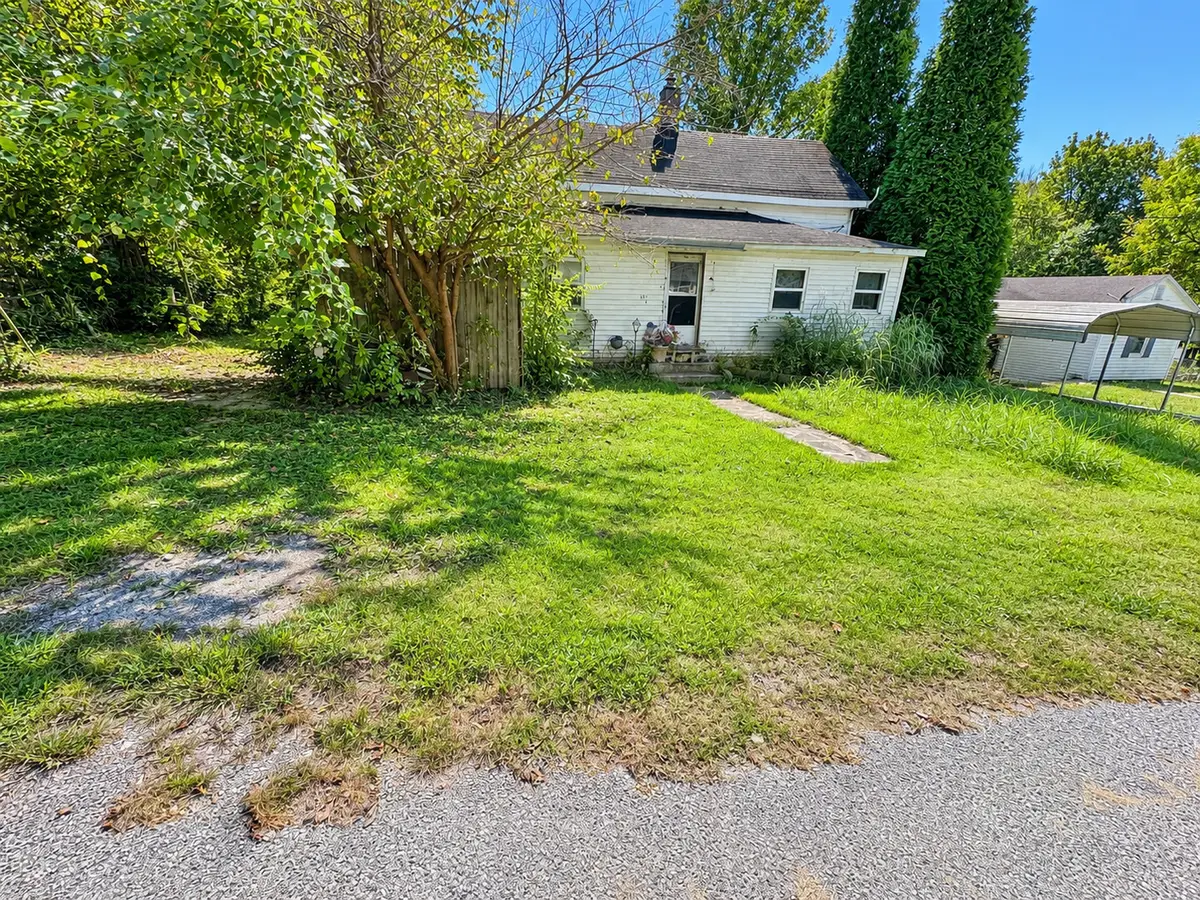 341 Mclean Street, Rosiclare, IL 62982 - #1