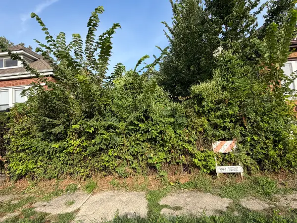 7219 S Aberdeen Street, Chicago, IL 60621
