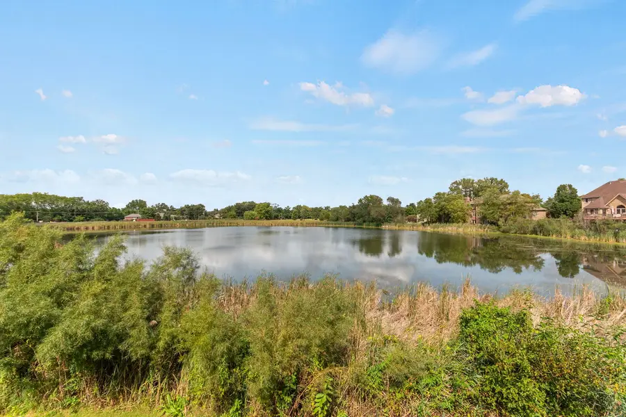 12198 Oxford Court, Lemont, IL 60439 - #3