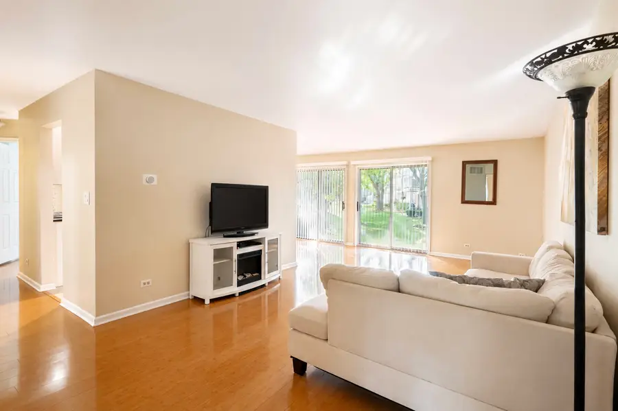 1253 Beechwood Court, Schaumburg, IL 60193 - #3