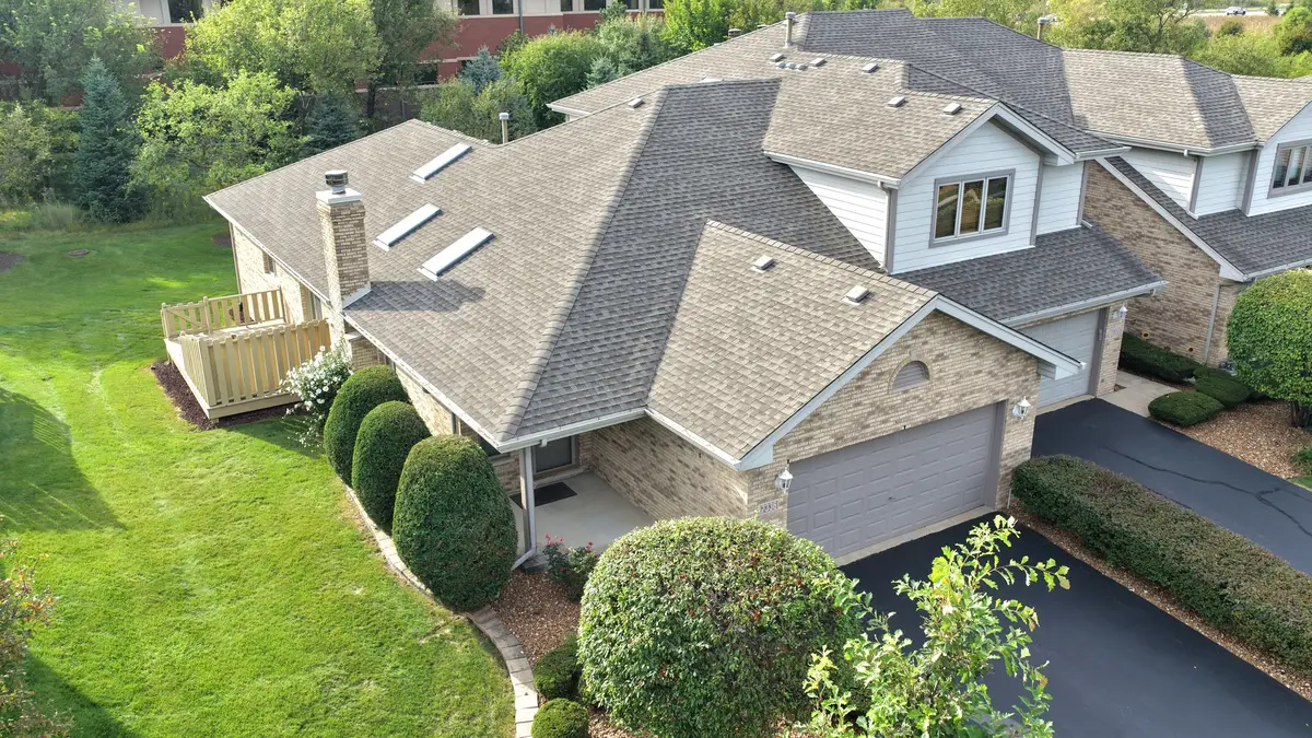 17336 Carlyle Court, Tinley Park, IL 60487 - #1